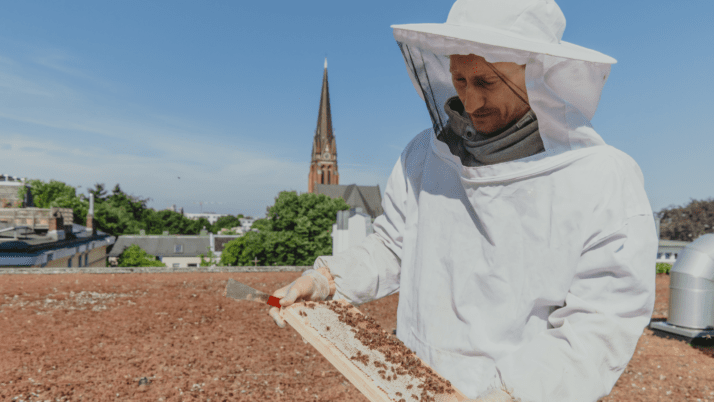 Imker Maxim mit seinen Bienen